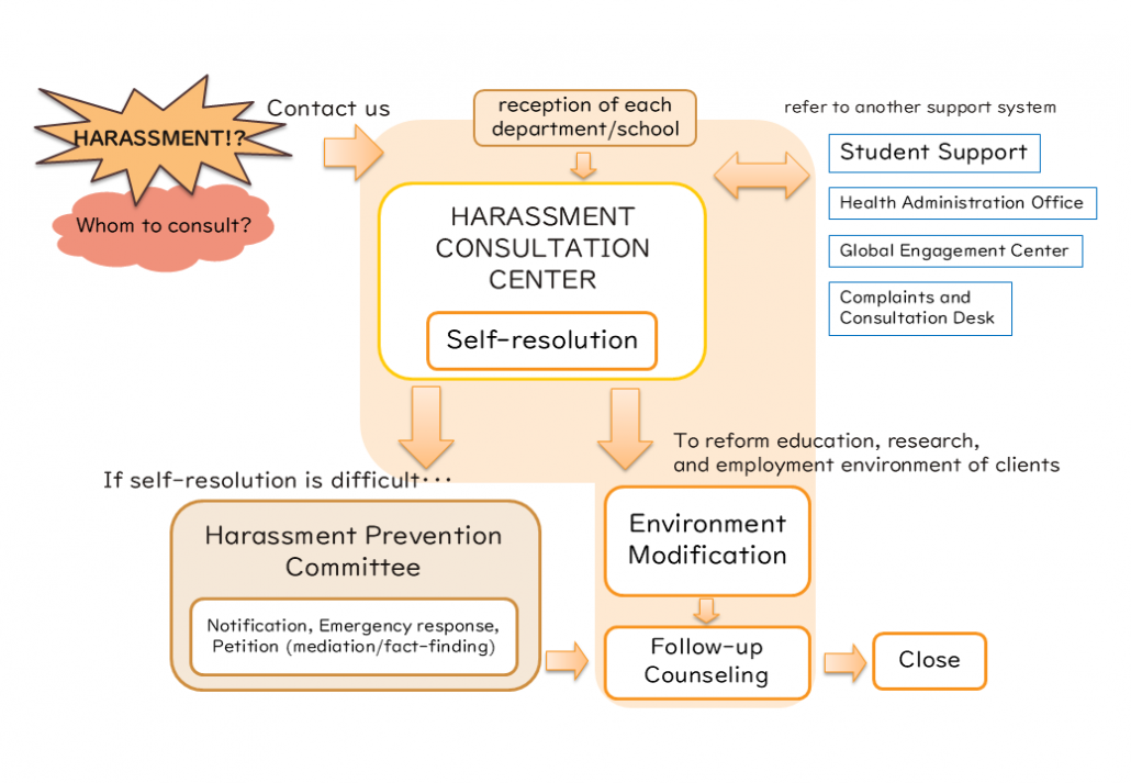 Consultation flowchart
